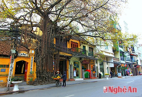 Một góc phố Hà Nội. Ảnh: Hồ Long