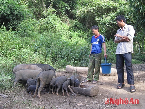 Mùa Bá Chư (phải) hướng dẫn kỹ thuật chăn nuôi cho đoàn viên.