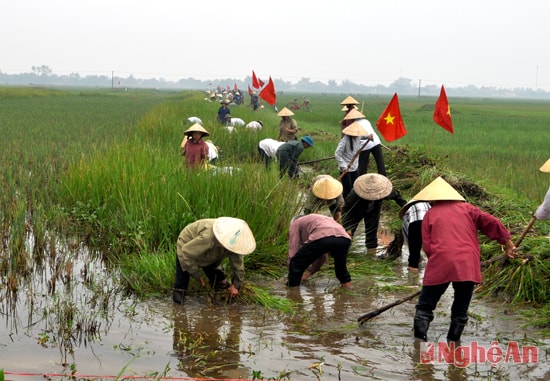 Người dân xã Hưng Lam khởi thông kênh mương thủy lợi nội đồng.