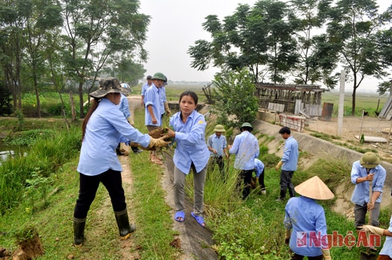 Xí nghiệp thủy lợi Hưng Nguyên nạo vét kênh dẫn nước trạm bơm Tiến Thắng.