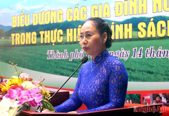Đồng chí Đinh Thị Lệ Thanh- Ủy viên BTV Tỉnh ủy, Phó Chủ tịch UBND tỉnh phát biểu tại buổi lễ gặp mặt