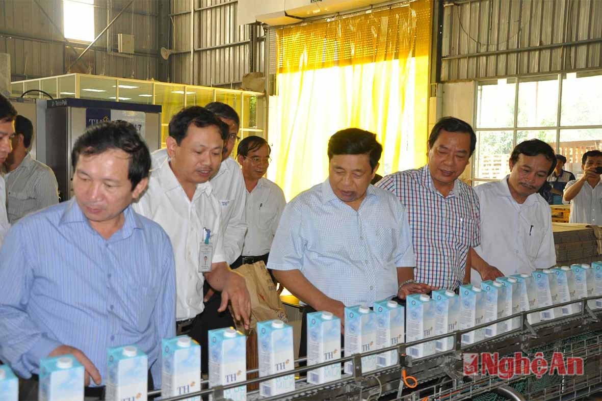 xem dây chuyền sản xuất sữa tươi