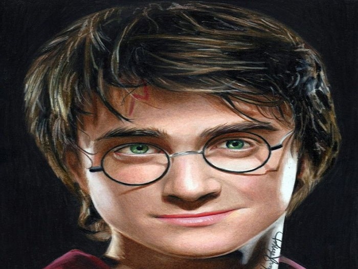 Đây là bức chân dung của Harry Potter trong series phim đình đám cùng tên