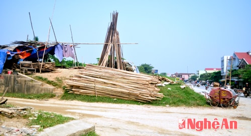 Nhiều hộ kinh doanh tại xóm 5, xã Đông Sơn (Đô Lương) để dựng lán, tập kết nứa mét trên đê Tả Lam.