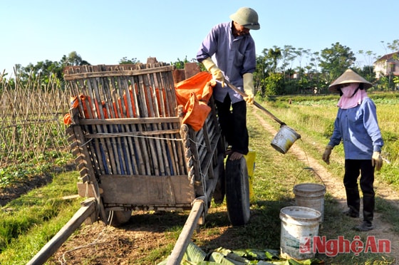 Nông dân xóm Điện Biên, xã Lưu Sơn (Đô Lương) chở nước ra đồng tưới rau vụ đông.