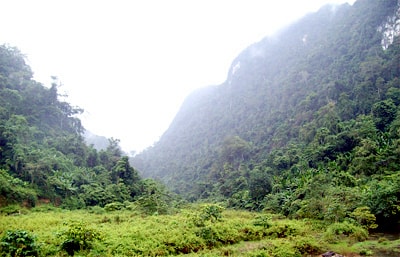 Một vùng Trà Lân.