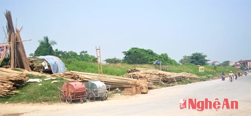 Tập kết nứa mét ngay trên đê tại xóm 5 xã Đông Sơn (Đô Lương)