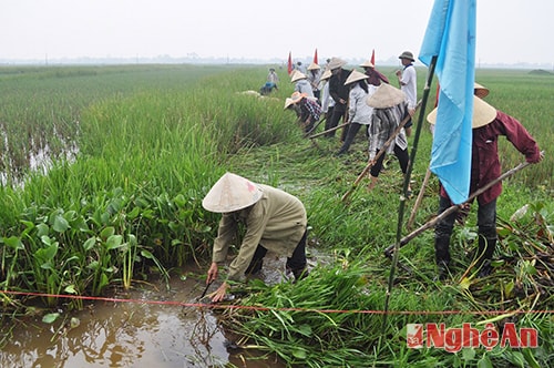 Người dân xã Hưng Lam khơi thông kênh mương nội đồng ở xóm 1.