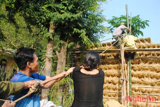 Nài dây chằng giữ vững cho kép.