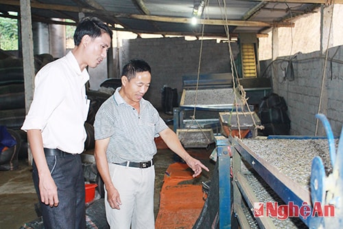 Ông Nguyễn Trọng Đạo - chủ cơ sở chế biến chè tư nhân ở Anh Sơn (phải) giới thiệu về quy trình sản xuất chè.