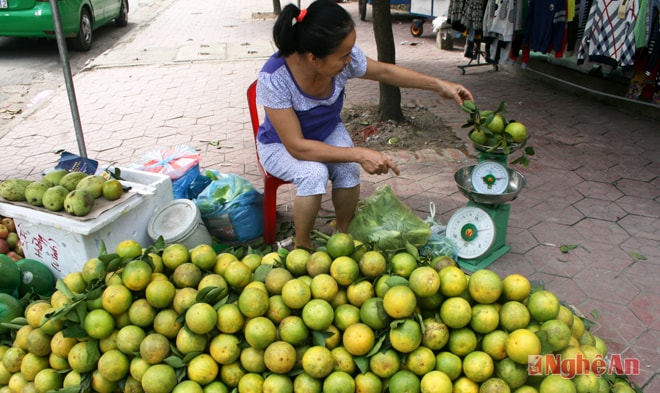 Doanh nghiệp Trịnh Xuân Giáo đầu tư vào nông nghiệp 23 ha (ở xóm Đồng Trung xã Đồng Thành)  đã xuất bán 400 tấn quả/vụ. Năm nay được mùa, dự kiến thu hoạch 500 tấn, ước tính thu về 15 tỷ đồng. Ngày 10/6/2014, nghe tin Yên Thành được mùa cam, ông Nguyễn Vinh Tân, ủy viên Trung ương Đảng, Phó ban kinh tế Trung ương về thăm trang trại của doanh nghiệp. 