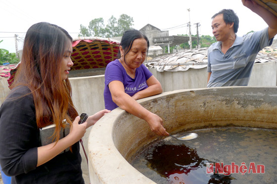 Bà Trần Thị Chuyên ở xóm Đông Lâm, xã Diễn Ngọc (Diễn Châu) giới thiệu  quy trình làm nước mắm với phóng viên.