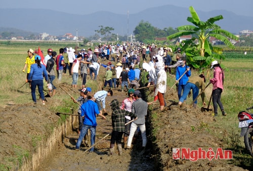 Học sinh trường THPT Lý Tự Trọng nạo vét, khơi thông tuyến kênh N17