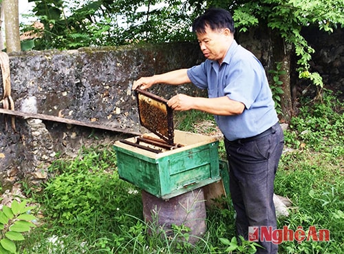 Cựu chiến binh Bùi Ngọc Ấn.