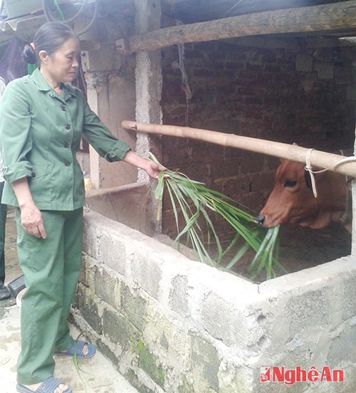 Cựu chiến binh Nguyễn Thị Phương.