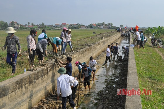 Học sinh khối 12 Trường THPT Quỳnh Lưu 3 tham gia làm thủy lợi