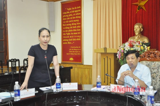 Phó Chủ tịch UBND tỉnh Đinh Thị Lệ Thanh phát biểu tại cuộc họp