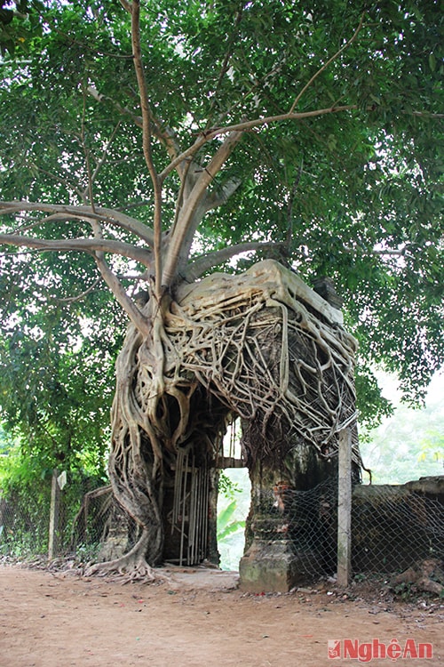 Di tích cổng phủ đệ Tri phủ Lang Vi Năng.