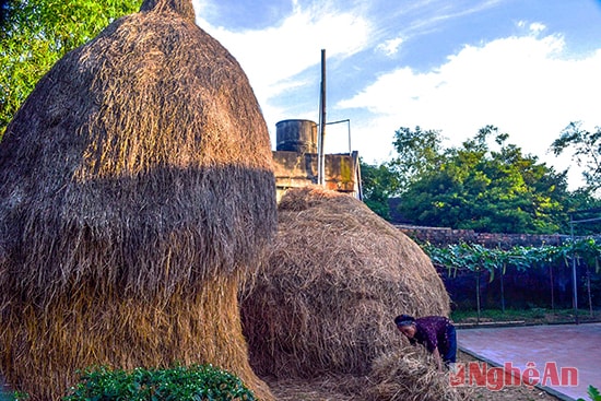 Bóng mẹ. Ảnh: Cao đình đông