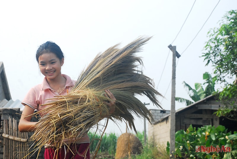 Giúp mẹ phơi lau.