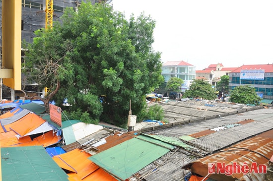 Những kiot chen chúc nằm dưới thân cây lớn ở phía Đông chợ Vinh cũng tiềm ẩn rất nhiều nguy cơ khi cháy nổ xẩy ra