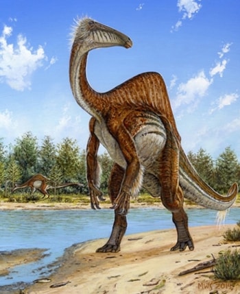 Một con khủng long Deinocheirus mirificus. Ảnh:Michael Skrepnick.