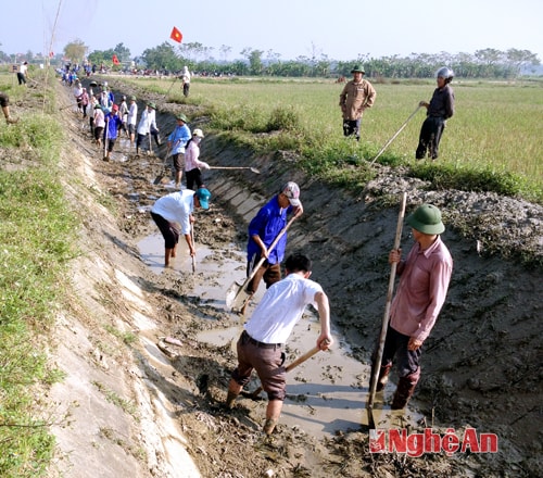 CBCNV Công ty TNHH MTV Thủy lợi Bắc ra quân làm thủy lợi tại Diễn Châu. Ảnh: Thúy Vinh