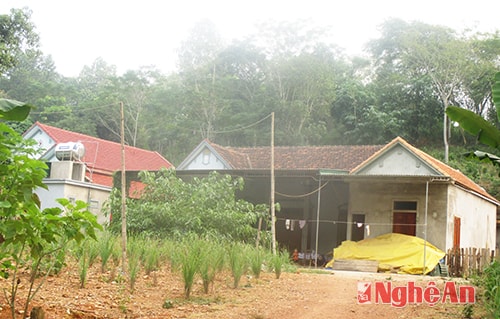 Ngôi nhà hộ nghèo của chị Phạm Thị Thư, thôn Thanh Nam (xã Bồng Khê, Con Cuông)