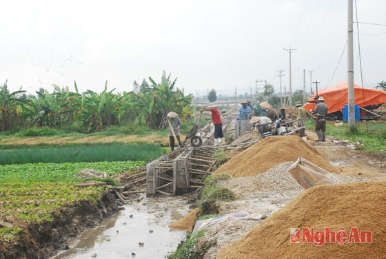 Người dân Quỳnh Lương khẩn trương làm giao thông nội đồng cho vùng rau