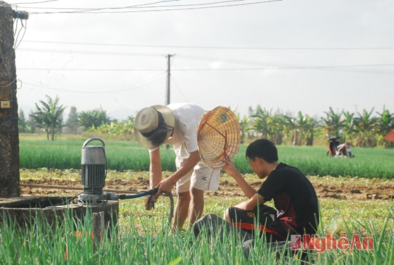 Chuẩn bị máy bơm nước.