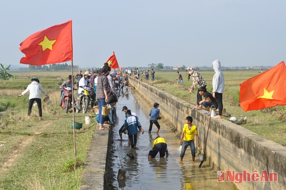 Học sinh Trường THPT Quỳnh Lưu 3 tham gia làm thủy lợi tại kênh N26.
