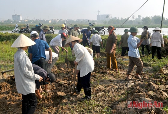 Nông dân xã Vinh Tân, TP. Vinh đắp đường nội vùng.
