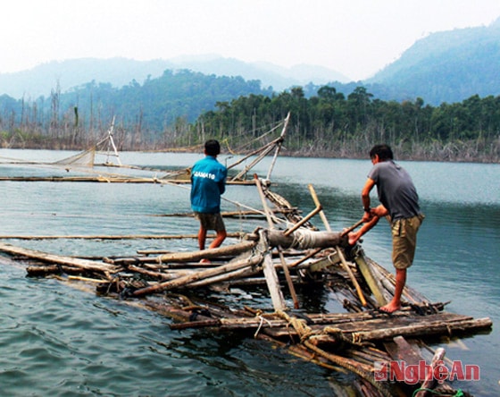 Ông Nguyễn Mạnh Tường đánh cá trên lòng hồ Thủy điện Hủa Na.