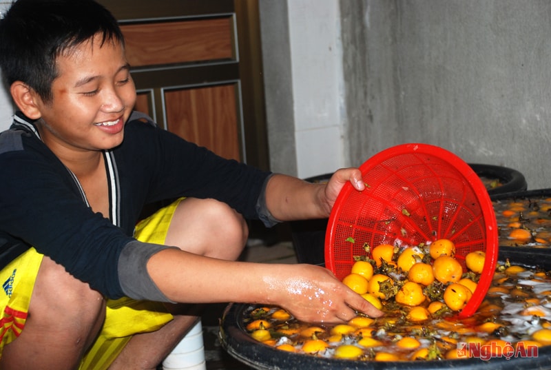 Không chỉ có người lớn, trẻ em ở Nam Anh giờ đây ai ai cũng thạo quy trình ngâm, vớt hồng