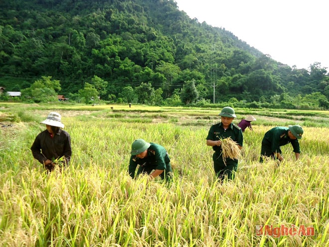 BĐBP Nghệ An giúp dân lao động sản xuất