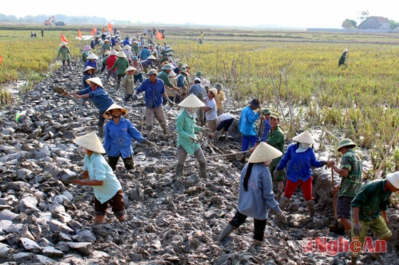 Xã Nghĩa Đồng (Tân Kỳ) ra quân làm thủy lợi gắn với quy hoạch lại đồng ruộng.