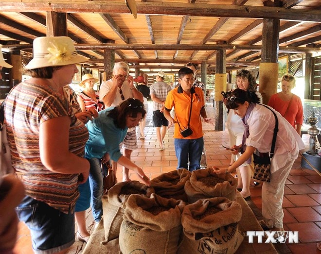 Khách du lịch nước ngoài tham quan Bảo tàng Càphê thế giới Việt Nam tại thành phố Buôn Ma Thuột, tỉnh Đắk Lắk. (Ảnh:Minh Đức/TTXVN)