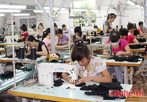 Gia công hàng xuất khẩu tại Công ty TNHH Dũng Thủy, xã Sơn Thành, huyện Yên Thành.