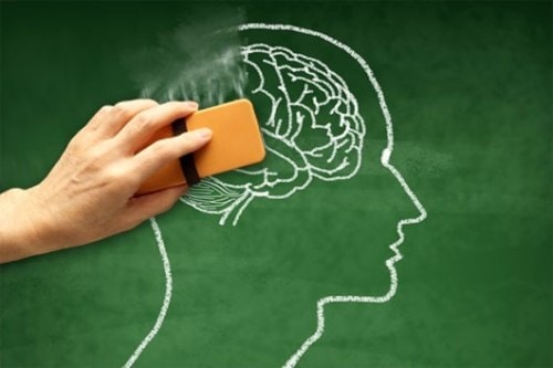 Những loại thuốc Đông Y tốt cho não bộ.