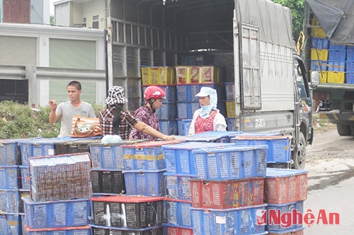 Hàng hóa được vận chuyển về tập kết tại chợ Vinh.