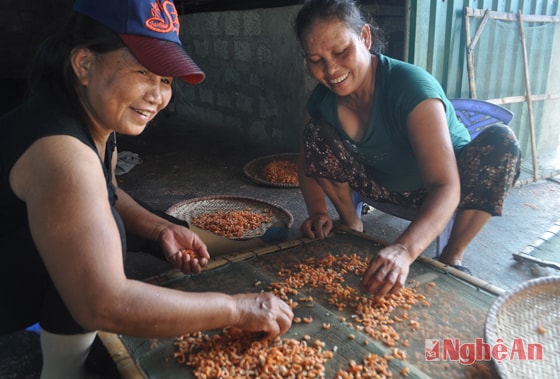 Cơ sở chế biến tôm nõn của chị Hoàng Thị Nghi (khối 4, Nghi Thủy, Thị xã Cửa Lò).