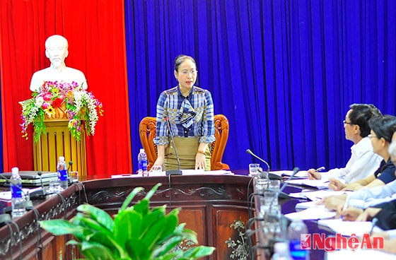 Đồng chí Đinh Thị Lệ Thanh kết luận tại buổi làm việc