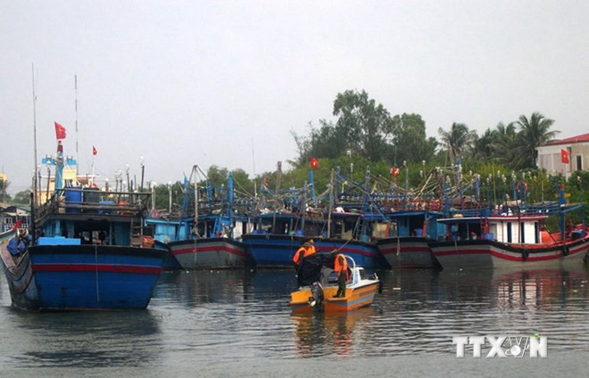 Ảnh minh họa: TTXVN