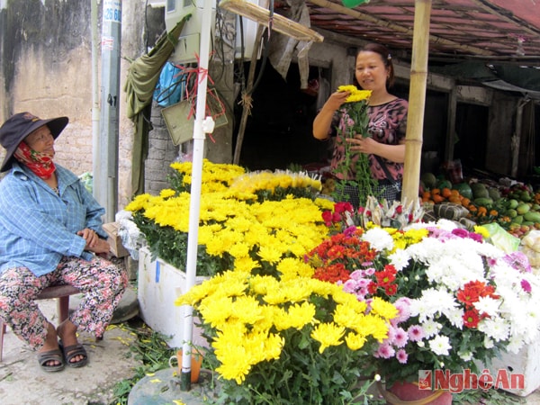 Hoa làng Hồng Phú được bày bán ở các khu chợ trên địa bàn Quỳnh Lưu.