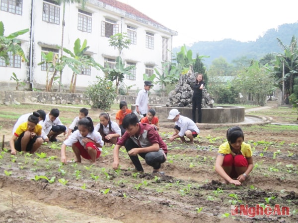 Học sinh bán trú Trường THCS Hội - Nga chăm sóc vườn rau.