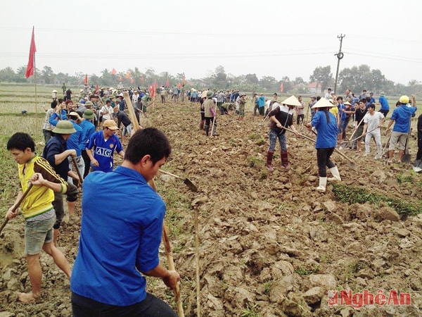 Bà con đang tích cực tham gia làm giao thông nội đồng.  