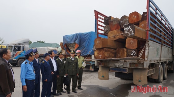 Đoàn liên ngành phối hợp kiểm tra xe chở gỗ 