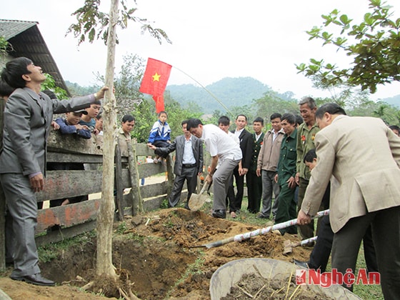 Trông cây Đại đoàn kết