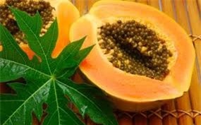 những công dụng tuyệt vời của hạt đu đủHạt đu đủ có công dụng kháng khuẩn tuyệt vời. Ảnh minh họa