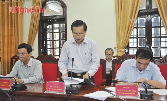 Phó Chủ tịch UBND tỉnh Lê Ngọc Hoa báo cáo kết quả đầu tư năm 2014